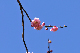image0185