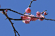 image0186
