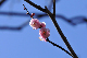 image0187