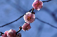 image0188