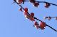image0189