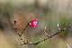 image0190