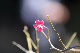 image0191