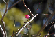 image0193