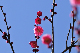 image0194
