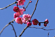 image0195