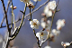 image0197