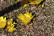 image0198