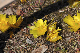 image0199