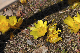 image0200