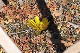 image0201