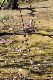 image0212