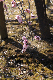 image0214