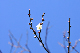 image0216