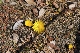 image0217