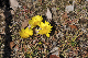 image0219