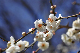 image0221
