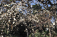 image0225