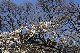 image0227