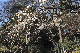 image0228