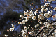 image0230