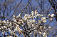 image0231