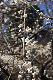 image0233