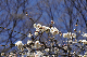 image0234