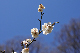 image0237