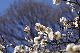 image0238