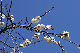 image0240
