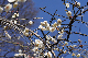 image0241