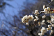 image0242