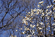 image0243