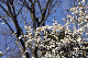 image0244