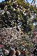 image0245