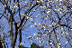 image0247