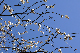 image0248