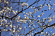 image0249