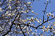 image0250