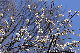 image0251