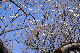 image0252