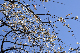 image0253