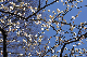 image0254