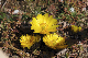 image0255