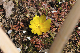 image0256
