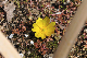 image0257