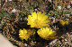 image0258