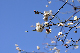image0266