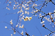 image0267